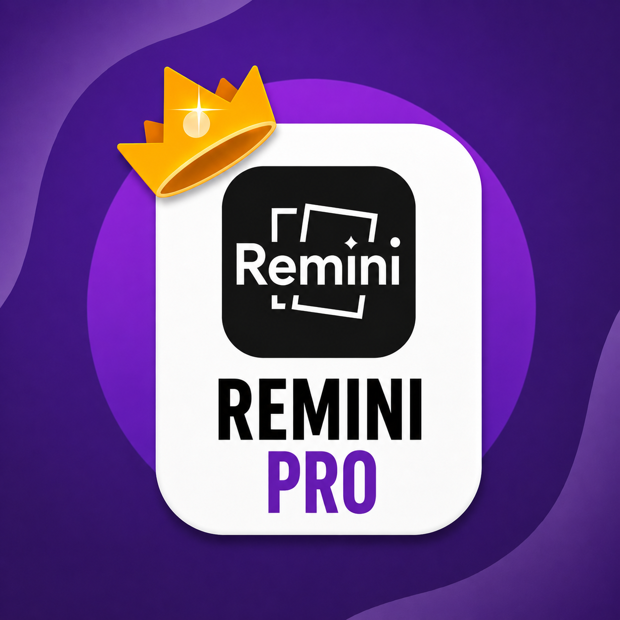 REMINI PRO 